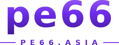 pe66 logo